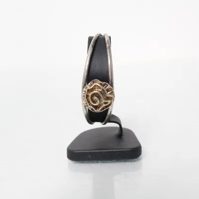 Bangle (Zilver) Onbekend materiaal