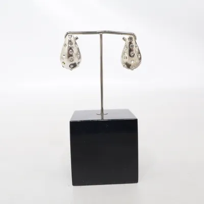 Örhängen (Silverfärgad) Okänd metall