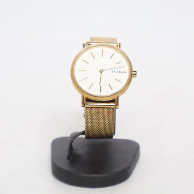 Montre (Signatur) de Skagen