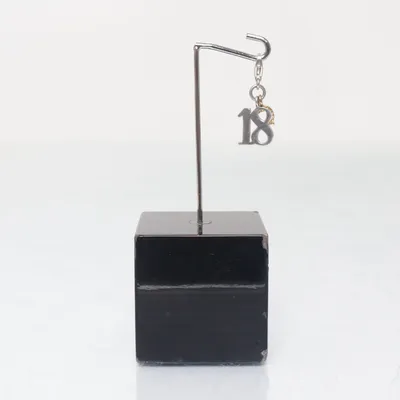 Hänge (Silverfärgad) från Thomas Sabo Okänd metall