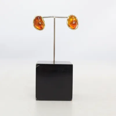 Boucles d'oreilles (Marron, Or) Métal inconnu