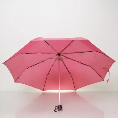 Paraply (Rosa, Svart) från Asaklitt