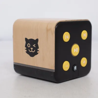 Haut-parleur Bluetooth (Tigerbox) de Lenco