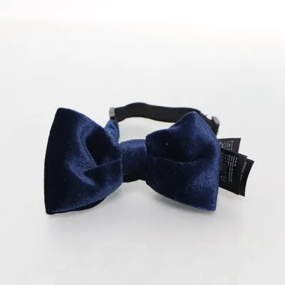 Bow tie (Blue) from H&M Polyester