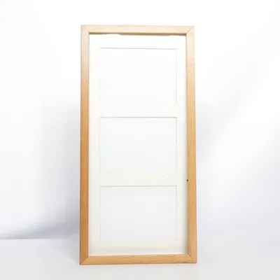 Frame (Ribba) from IKEA