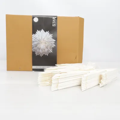 Étoile de Noël (Blanc) de Star Trading