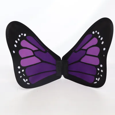 Accessoires de déguisement (Violet, Noir)