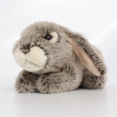 Soft toy (Gray) from Teddy & Co
