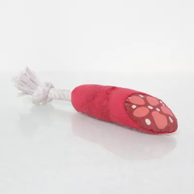 Hondenspeeltje (Rood)