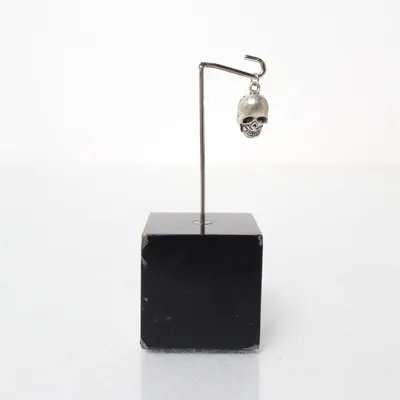 Hanger (Zilver) Onbekend materiaal