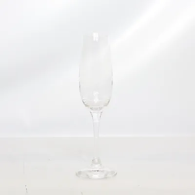 Champagne glass (Transparent) from Spiegelau