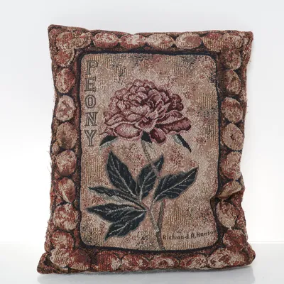 Cushion (Brown, Multicolored)