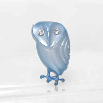 Broche (Blauw) Onbekend materiaal
