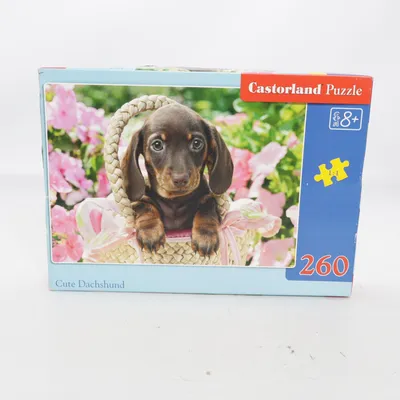 Puslespil fra Castorland Puzzle