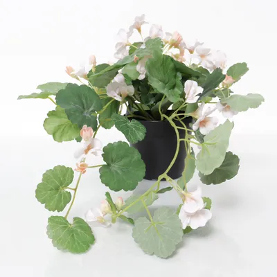 Artificial plant (Green, Black, White) from IKEA