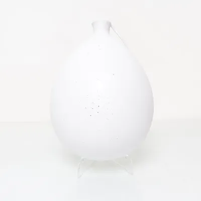 Ceiling light (White)