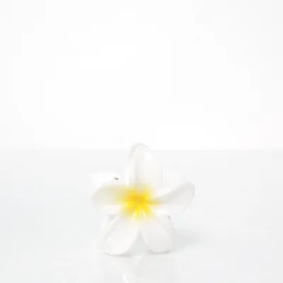 Hair clamp (White)
