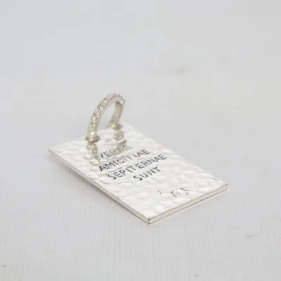 Hanger (Zilver) Onbekend materiaal