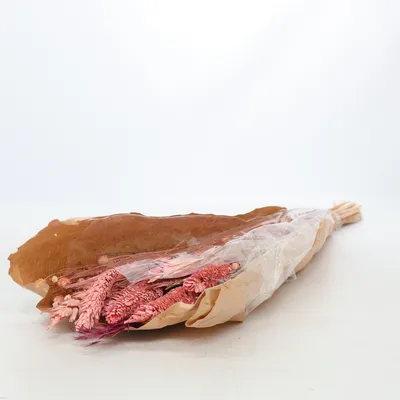 Kunstplant (Meerkleurig, Beige, Roze, Lila) van Tedi