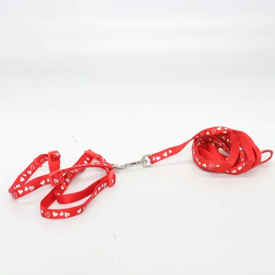 Laisse (Rouge)