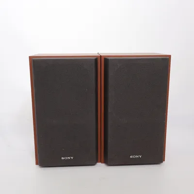Enceinte (Ss-Ceh10) de Sony