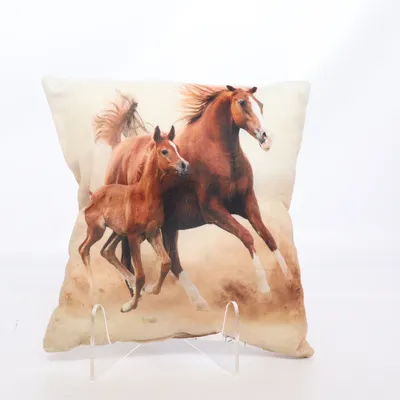 Cushion (Brown, Beige) from Living Polyester