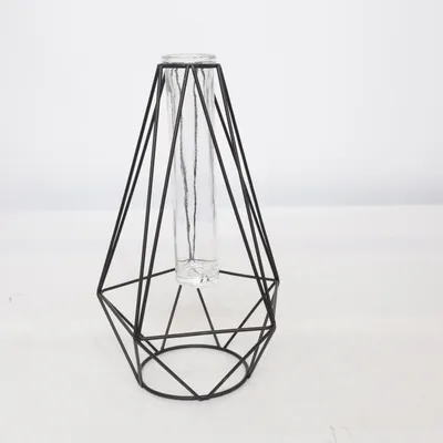 Vas (Svart, Transparent)