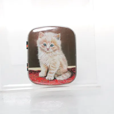 Pillendoosje (Rood, Meerkleurig)