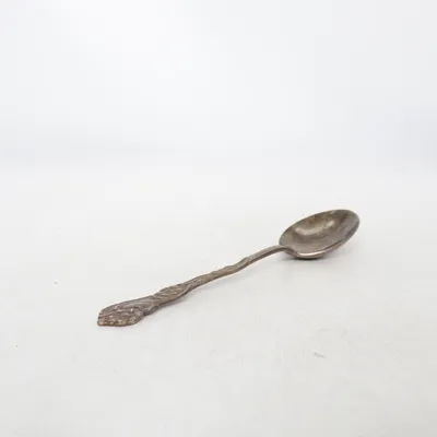 Spoon (Silver)