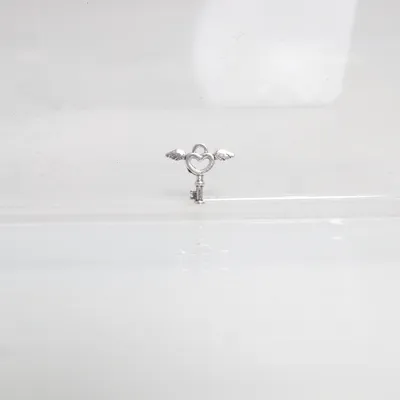Vedhæng (Sølv) Ukendt metal