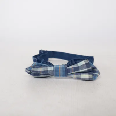 Noeud papillon (Bleu, Blanc)