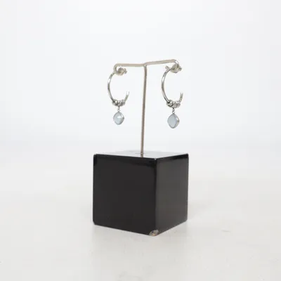 Oorbellen (Zilver, Blauw) van Fossil Onbekend materiaal