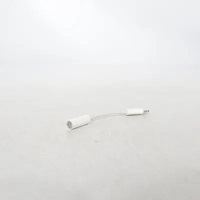 Adapter from Apple