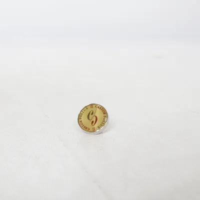 Pin (Guldfärgad, Silverfärgad) från Castor Pollux Okänd metall