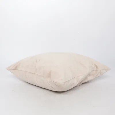 Cushion (Beige)