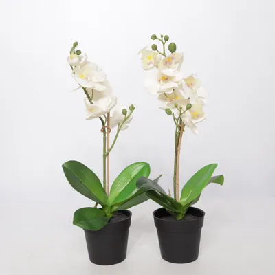 Plante artificielle (Fejka) de IKEA