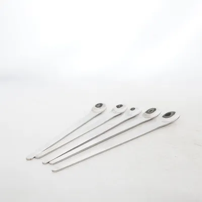 Longdrinklepel (Zilver) van Exxent