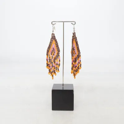 Earrings (Brown, Multicolored) from Complement Unknown metal