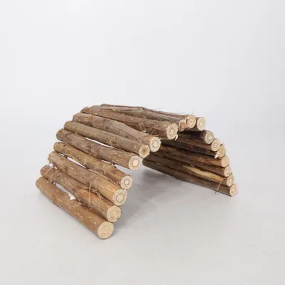 Terrarium accessory (Brown)