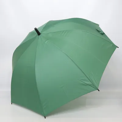 Umbrella (Green) from Ideenwelt
