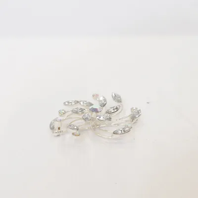 Broche (Zilver) Onbekend materiaal