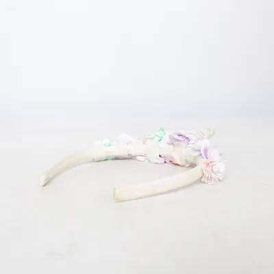Costume accessories (Multicolored)