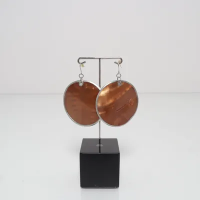 Oorbellen (Zilver, Bruin) Onbekend materiaal