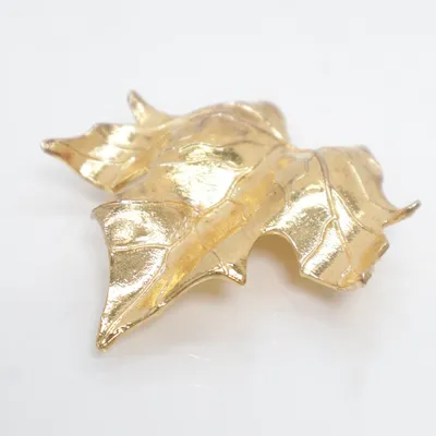 Brooch (Gold) Unknown metal