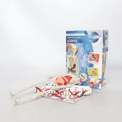 Activity toy (Erkunde Den Menschlichen Körper) from Clementoni