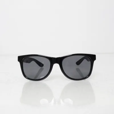 Solglasögon (Svart) från Vans