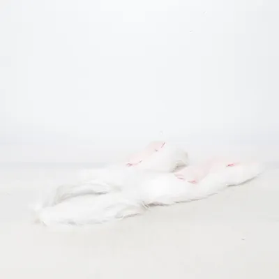 Costume accessories (White, Pink, Red)