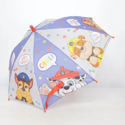 Parapluie (Multicolore)