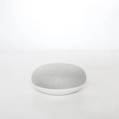 Sprachassistent (Nest Mini) von Google