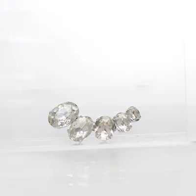 Broche (Transparant, Zilver) Onbekend materiaal
